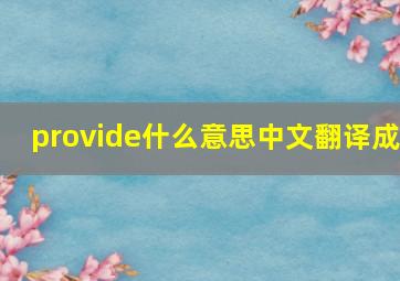 provide什么意思中文翻译成