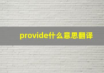 provide什么意思翻译