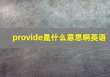 provide是什么意思啊英语