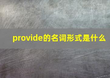 provide的名词形式是什么