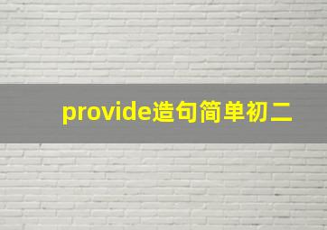 provide造句简单初二