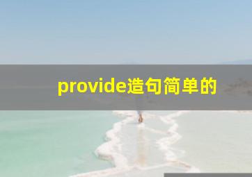 provide造句简单的