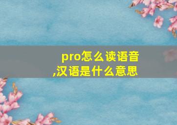 pro怎么读语音,汉语是什么意思