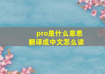 pro是什么意思翻译成中文怎么读