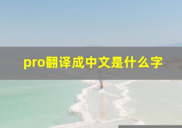 pro翻译成中文是什么字