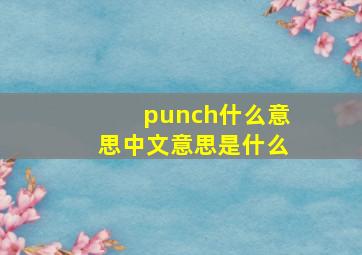 punch什么意思中文意思是什么