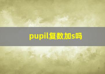 pupil复数加s吗