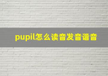 pupil怎么读音发音谐音