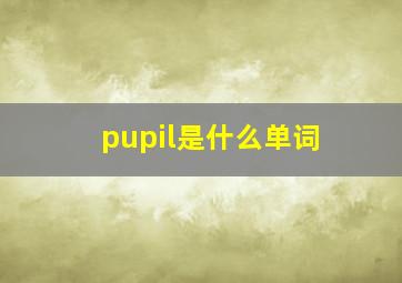 pupil是什么单词