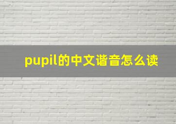 pupil的中文谐音怎么读