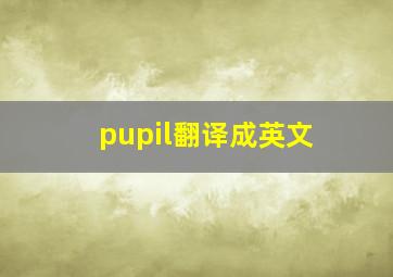 pupil翻译成英文