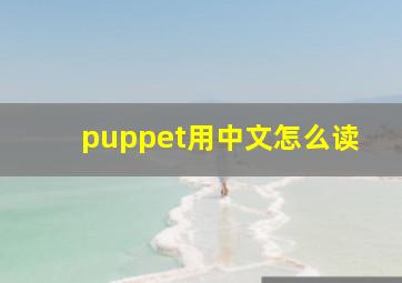 puppet用中文怎么读