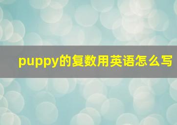 puppy的复数用英语怎么写