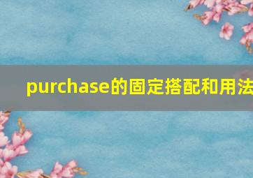 purchase的固定搭配和用法