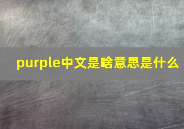 purple中文是啥意思是什么