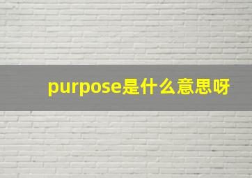 purpose是什么意思呀