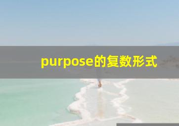 purpose的复数形式