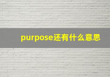 purpose还有什么意思