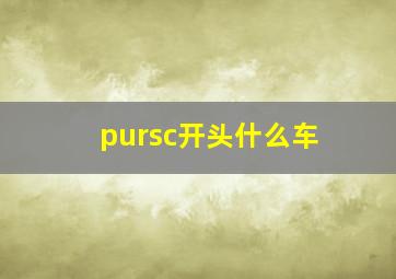 pursc开头什么车