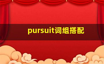 pursuit词组搭配