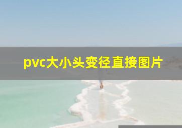 pvc大小头变径直接图片