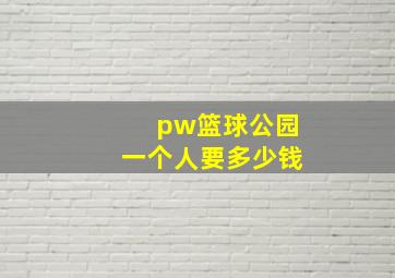 pw篮球公园一个人要多少钱