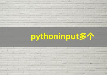 pythoninput多个