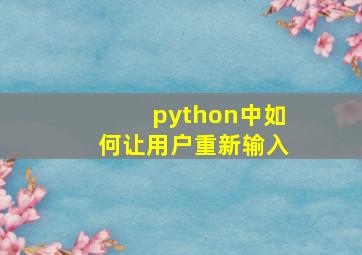 python中如何让用户重新输入