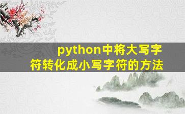 python中将大写字符转化成小写字符的方法