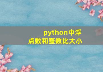 python中浮点数和整数比大小