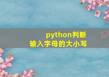 python判断输入字母的大小写