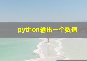 python输出一个数值