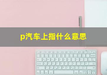 p汽车上指什么意思