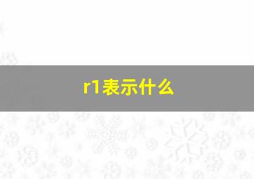 r1表示什么