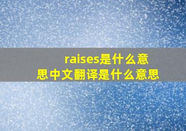 raises是什么意思中文翻译是什么意思