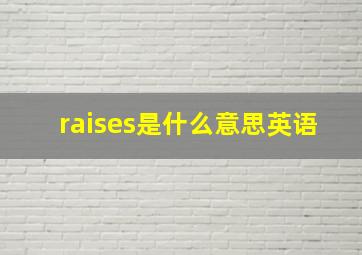 raises是什么意思英语