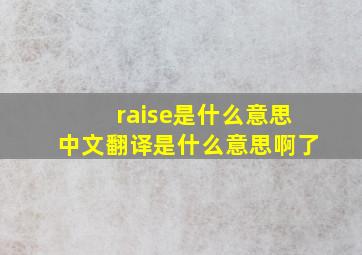 raise是什么意思中文翻译是什么意思啊了