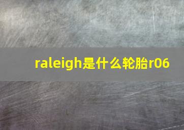 raleigh是什么轮胎r06