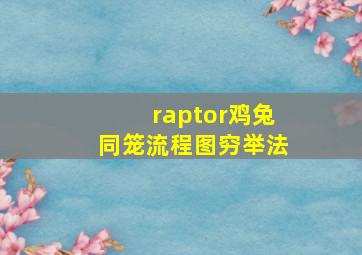 raptor鸡兔同笼流程图穷举法