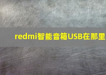 redmi智能音箱USB在那里