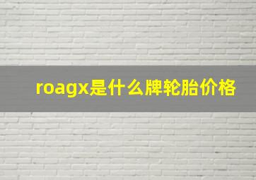 roagx是什么牌轮胎价格