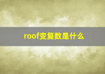 roof变复数是什么