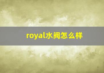 royal水阀怎么样