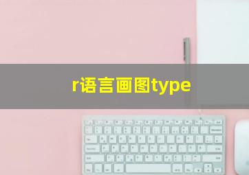 r语言画图type