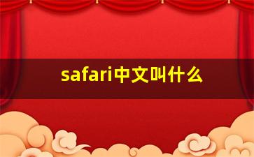 safari中文叫什么