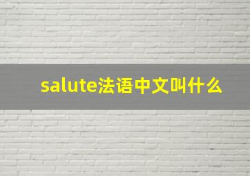 salute法语中文叫什么