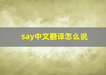 say中文翻译怎么说