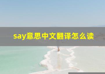 say意思中文翻译怎么读