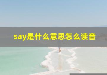 say是什么意思怎么读音