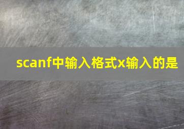 scanf中输入格式x输入的是